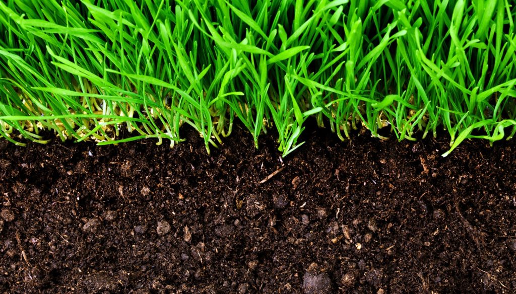 Definition of Soil The Composition of Soil Nayem Hasan Munna Definition of Soil The Composition of Soil Nayem Hasan Munna