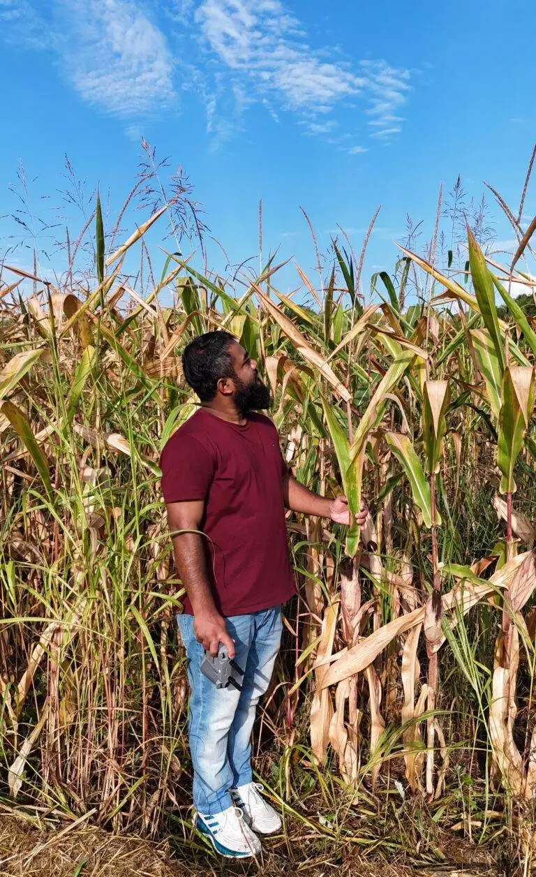 MD NAYEM HASAN MUNNA The Ohio State University Columbus Ohio USA DR RATTAN LAL LONG TERM EXPERIMENT AT WATERMAN FARM